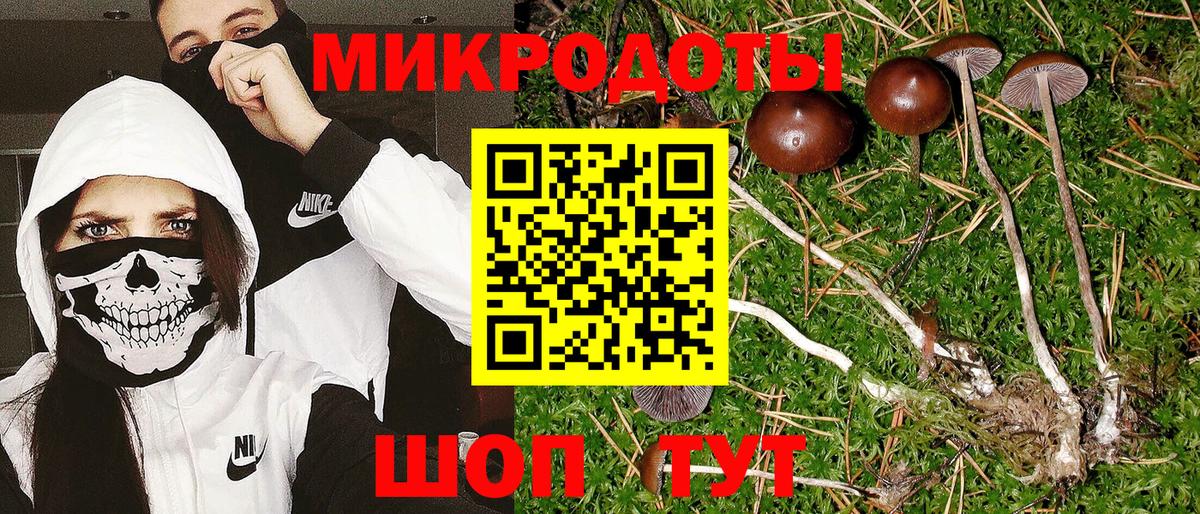 Владимир  Галлюциногенные грибы прущие грибы  Вход с VPN 